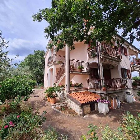 Apartment Ornela Umag Bagian luar foto